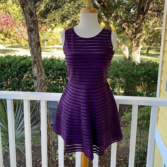 Parker Mesh Stripe Fit and Flare Purple Dress - Picture 2 of 8